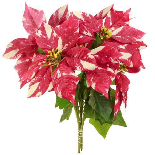 Prodotto Stella di Natale artificiale color crema rosso L35cm 6pz 2 mazzi