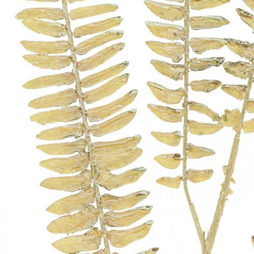 Prodotto Rami di felce artificiale Piante artificiali crema bianca L120cm