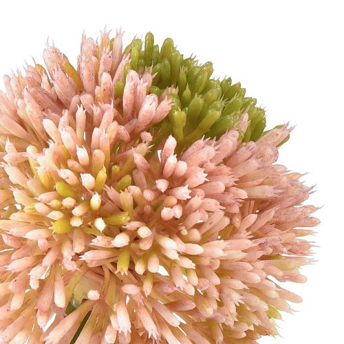 Prodotto Allium artificiale aglio ornamentale rosa verde Ø10cm L65cm
