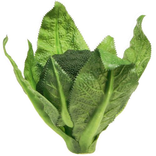 Prodotto Decorazione vegetale artificiale di broccoli in verde Ø12cm H15cm