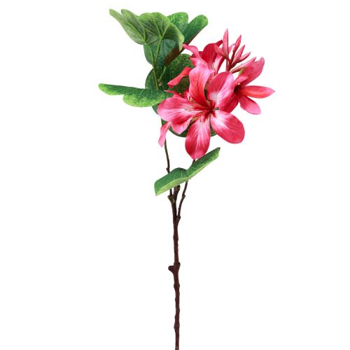 Floristik24 Ramo di orchidea artificiale Bauhinia Pianta artificiale rosa 62 cm