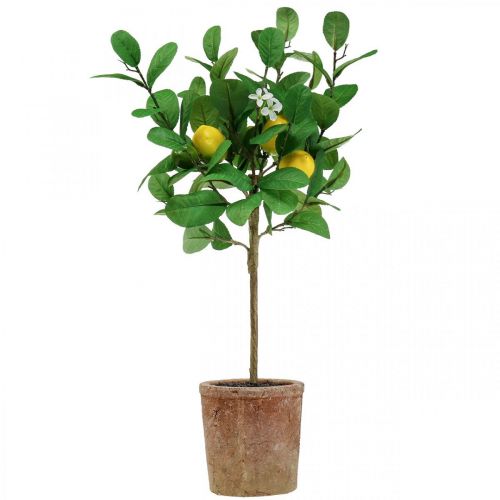 Floristik24 Albero di limone artificiale in vaso Albero di limone 58 cm