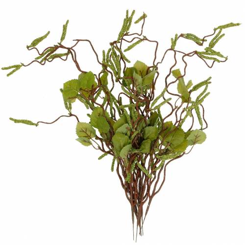 Floristik24 Ramo artificiale con amenti, bouquet verde betulla, palo di maggio 9pz
