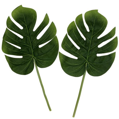 Floristik24 Foglia di filodendro artificiale 18 cm verde 6 pezzi