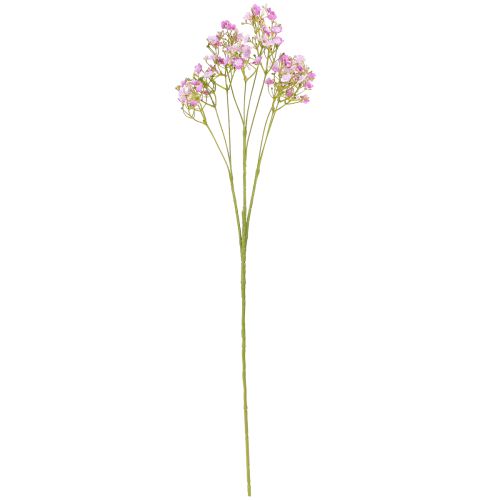 Prodotto Erba artificiale di gesso gypsophila in viola L68cm 4 pz