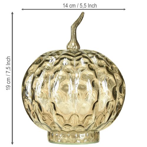 Prodotto Decorazione zucca in vetro zucca in vetro decorazione da tavolo autunno Ø14cm H19cm