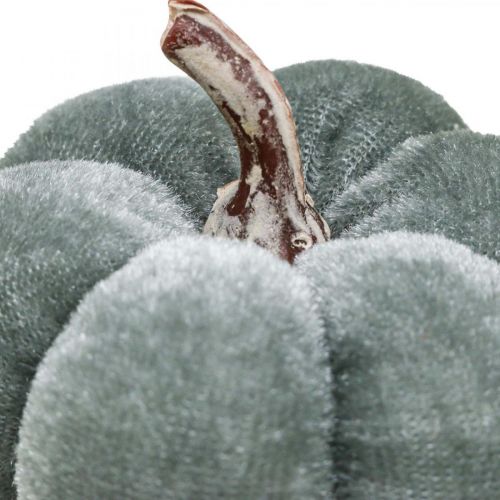 Floristik24 Decorazione da tavola decorazione autunnale zucca morbido grigio beige Ø6,5 cm 9 pezzi