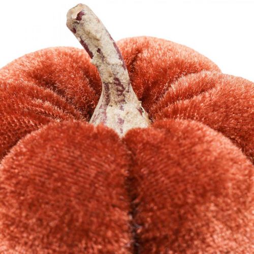 Floristik24 Decorazione da tavola decorazione autunnale zucche arancione marrone Ø6,5 cm 9 pezzi