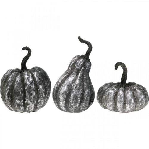 Floristik24 Decorativo Zucca Argento, Nero Assortito H10.5/14.5/17.5cm 3pz