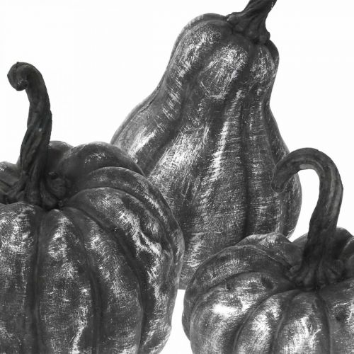 Floristik24 Decorativo Zucca Argento, Nero Assortito H10.5/14.5/17.5cm 3pz