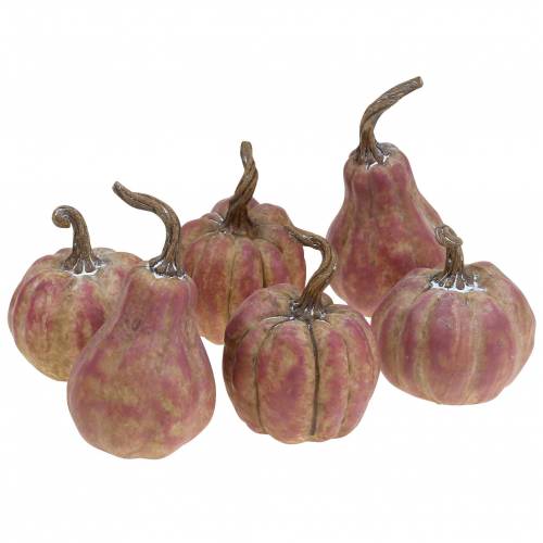 Prodotto Set mini zucca arancione, lilla Ø6,5–7 cm 6 pezzi