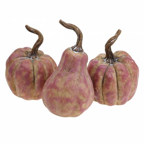 Prodotto Set mini zucca arancione, lilla Ø6,5–7 cm 6 pezzi