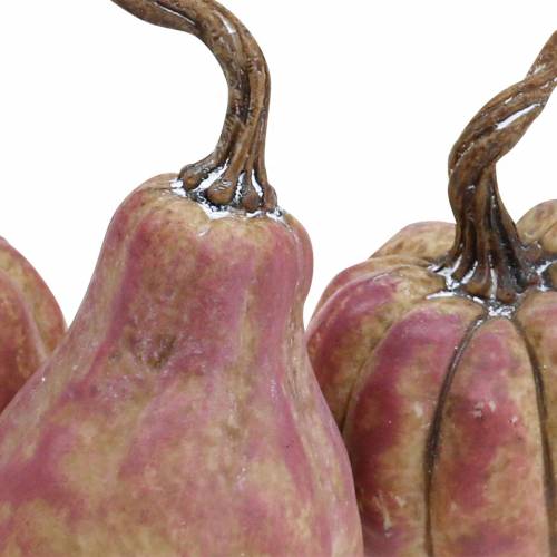 Prodotto Set mini zucca arancione, lilla Ø6,5–7 cm 6 pezzi