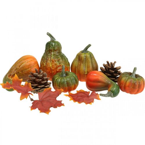 Coni di zucca Deco Foglie d&#39;autunno Decorazione autunnale 5-11 cm Set