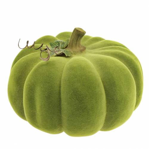 Prodotto Zucca decorativa floccata verde muschio 32cm