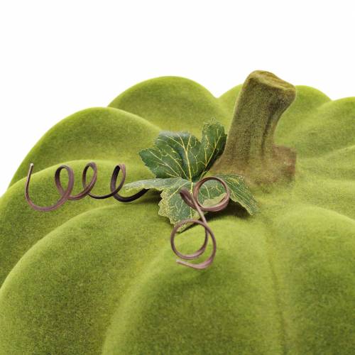 Prodotto Zucca decorativa floccata verde muschio 32cm