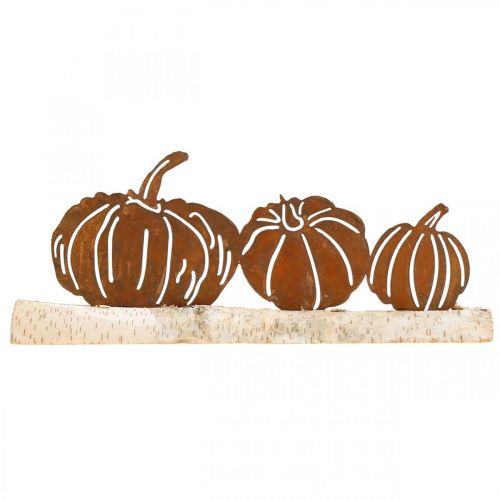 Floristik24 Decoro in metallo ruggine e corteccia di zucche su legno di betulla 20×5cm H9cm