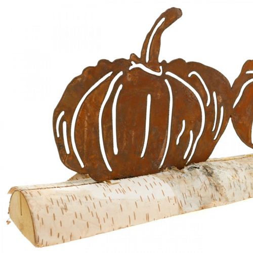 Floristik24 Decoro in metallo ruggine e corteccia di zucche su legno di betulla 20×5cm H9cm