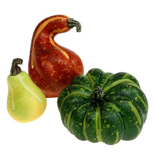 Floristik24 Assortimento di zucca in rete 12pz