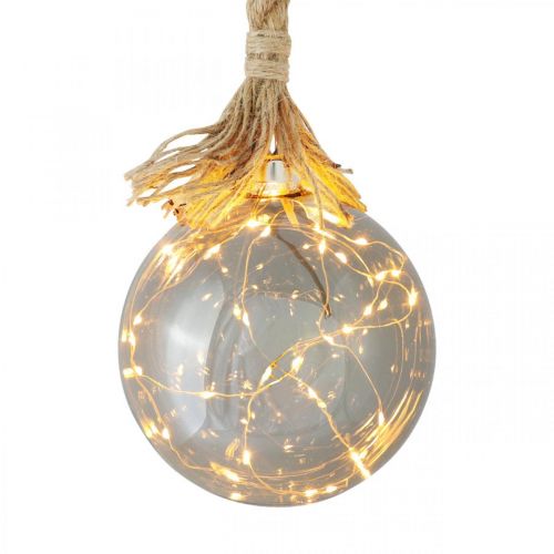 Floristik24 Sfera luminosa per interni a LED con corda Ø14cm 30L bianco caldo