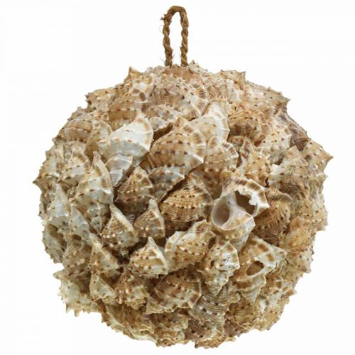 Prodotto Decorazione conchiglia palla lumache di mare Decorazione marittima da appendere Ø18cm