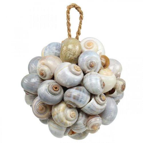 Floristik24 Decorazione marittima palla conchiglia di mare palla decorazione naturale Ø12cm