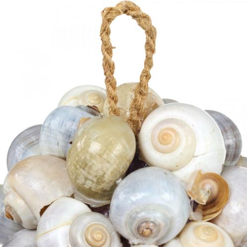 Floristik24 Decorazione marittima palla conchiglia di mare palla decorazione naturale Ø12cm