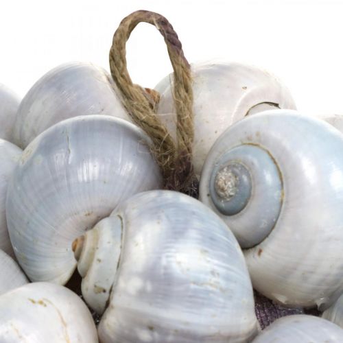 Prodotto Palla decorativa conchiglia di lumache di mare palla decorazione naturale marittima Ø19cm