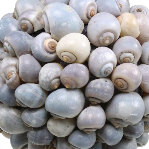 Deco ball lumache di mare grande decorazione marittima da appendere Ø25cm