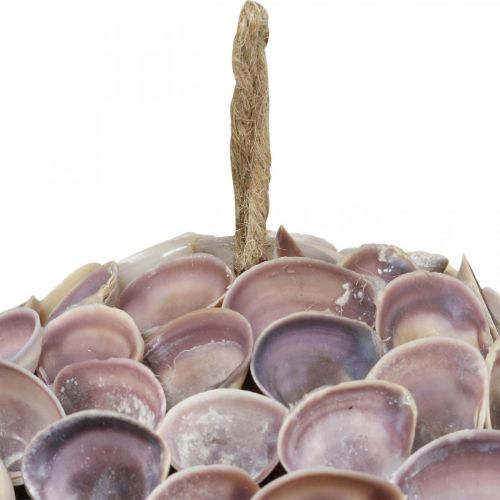 Prodotto Conchiglie decorative a forma di conchiglia per appendere decorazioni marittime Ø18 cm