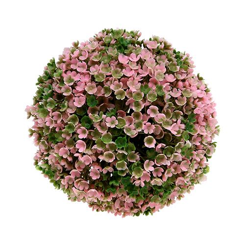 Floristik24 Pianta decorativa a sfera verde rosa Ø15 cm 1 pezzo