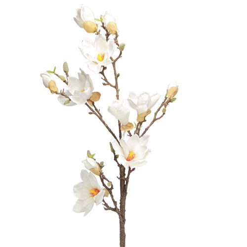 Fiore artificiale Magnolia Branch Blossoms Ø2–10cm Crema L105cm