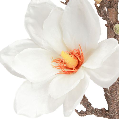 Prodotto Fiore artificiale Magnolia Branch Blossoms Ø2–10cm Crema L105cm