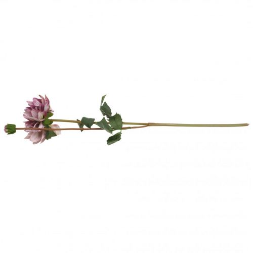 Prodotto Fiore artificiale Dalia Fiore e bocciolo di seta viola H57cm