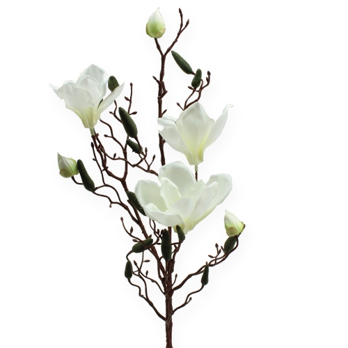 Floristik24 Ramo di magnolia crema artificiale 90 cm