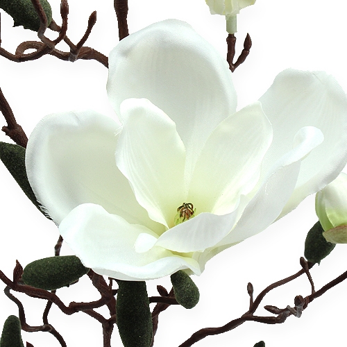 Prodotto Ramo di magnolia crema artificiale 90 cm