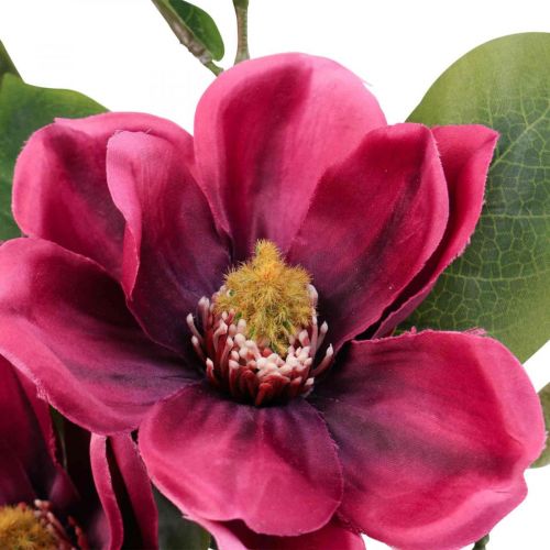 Floristik24 Ramo di magnolia fiore artificiale, magnolia artificiale rosa 65 cm 3 pezzi