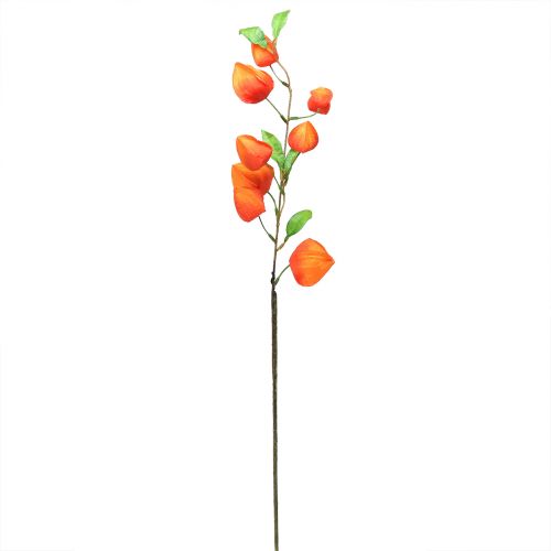 Prodotto Fiore artificiale lanterna arancione Physalis fiori decorativi in seta 93 cm 2 pz