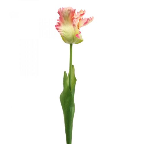 Prodotto Fiore artificiale, tulipano pappagallo rosa, fiore primaverile 63 cm