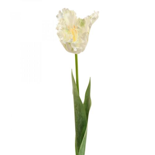 Floristik24 Fiore artificiale, tulipano pappagallo bianco verde, fiore primaverile 69 cm