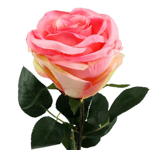 Floristik24 Fiore artificiale Rosa riempito rosa Ø10cm L65cm 3 pezzi