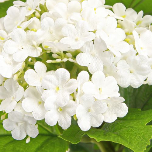 Prodotto Fiori artificiali Snowball Viburnum artificiale bianco 60cm 4 pezzi