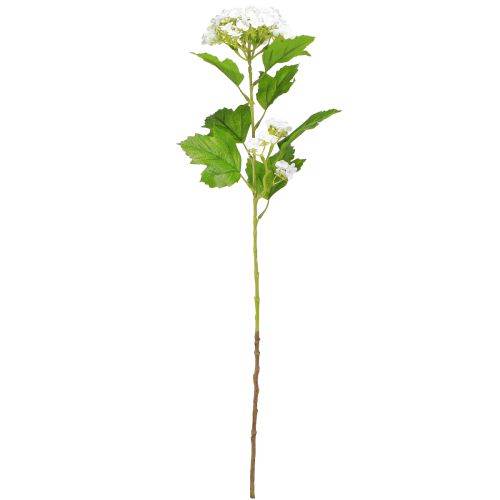 Prodotto Fiori artificiali Snowball Viburnum artificiale bianco 60cm 4 pezzi