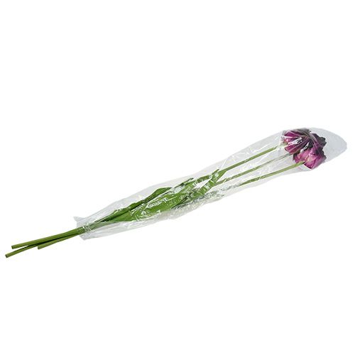 Floristik24 Tulipani Fiori Artificiali Viola-Verde 84cm - 85cm 3pz