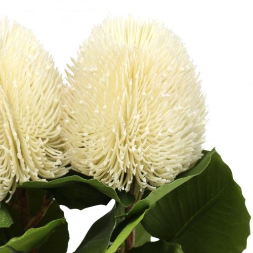 Prodotto Fiori artificiali, Banksia, Proteaceae Bianco crema L58cm H6cm 3pz