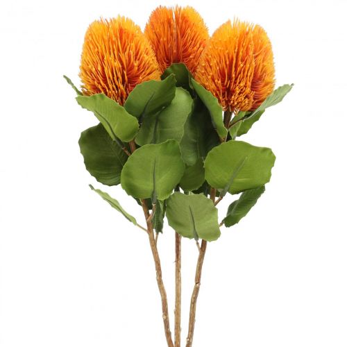 Floristik24 Fiori artificiali, Banksia, Proteaceae Arancione L58cm A6cm 3 pz