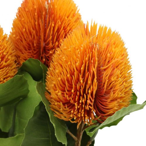Floristik24 Fiori artificiali, Banksia, Proteaceae Arancione L58cm A6cm 3 pz