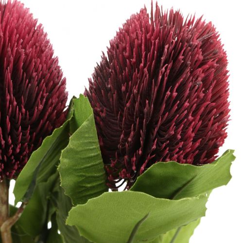 Floristik24 Fiori artificiali, Banksia, Proteaceae rosso vino L58cm A6cm 3 pezzi