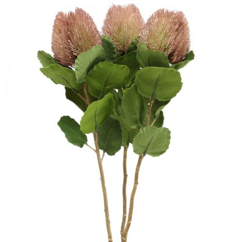 Prodotto Fiori Artificiali, Banksia, Proteaceae Bianco-Viola L58cm H6cm
