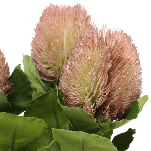 Prodotto Fiori Artificiali, Banksia, Proteaceae Bianco-Viola L58cm H6cm